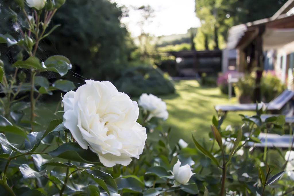 B&B I Fiori Della Cava Pesaro Kültér fotó